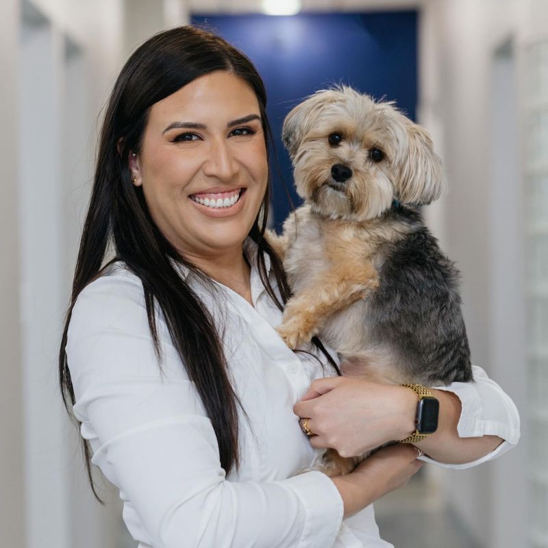 orthodontics specialist in Clearwater orthodontics specialist in Clearwater